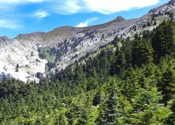 El Ayuntamiento de Ronda resalta los valores de la Serranía en el Día Mundial del Medio Ambiente