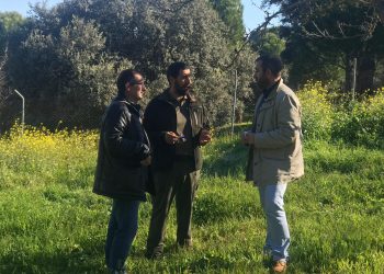 El Ayuntamiento de Ronda dispondrá de un vivero propio para realizar reforestaciones