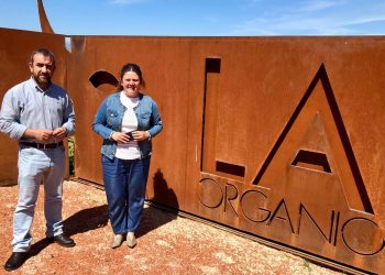 La tramitación administrativa de la almazara-museo diseñada por Phillipe Starck, entra en su fase final﻿