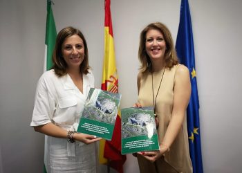 El Ayuntamiento entrega a Cultura el documento de planificación para la puesta en valor de Acinipo