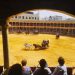 LA PLAZA DE TOROS SE LLENA DE PÚBLICO PARA DISFRUTAR DE LA EXCELENCIA DEL XLIII CONCURSO-EXHIBICIÓN DE ENGANCHES