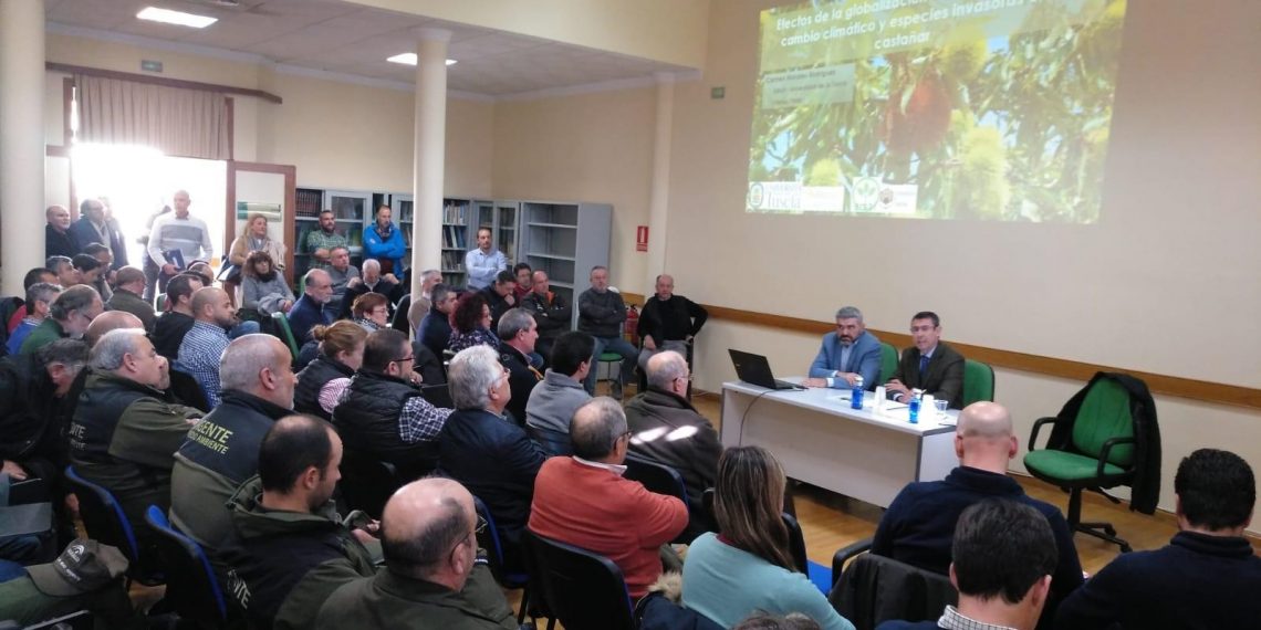 El Gobierno andaluz igualará este año el número de dosis en la suelta del Torymus para apoyar al castañar malagueño ﻿