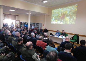 El Gobierno andaluz igualará este año el número de dosis en la suelta del Torymus para apoyar al castañar malagueño ﻿