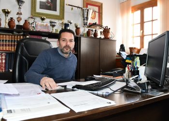 CARTAJIMA EXIGE AYUDAS PARA COMBATIR A LA AVISPILLA DEL CASTAÑO