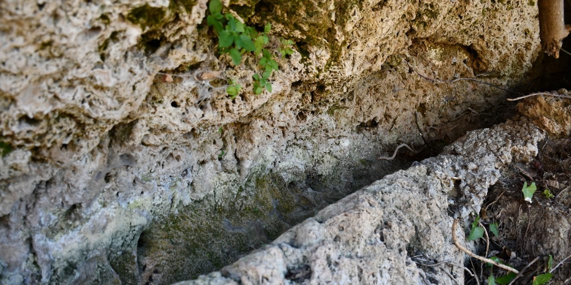 LAS ACEQUIAS DE BALASTAR, LEGADO MUSULMÁN DE FARAJÁN