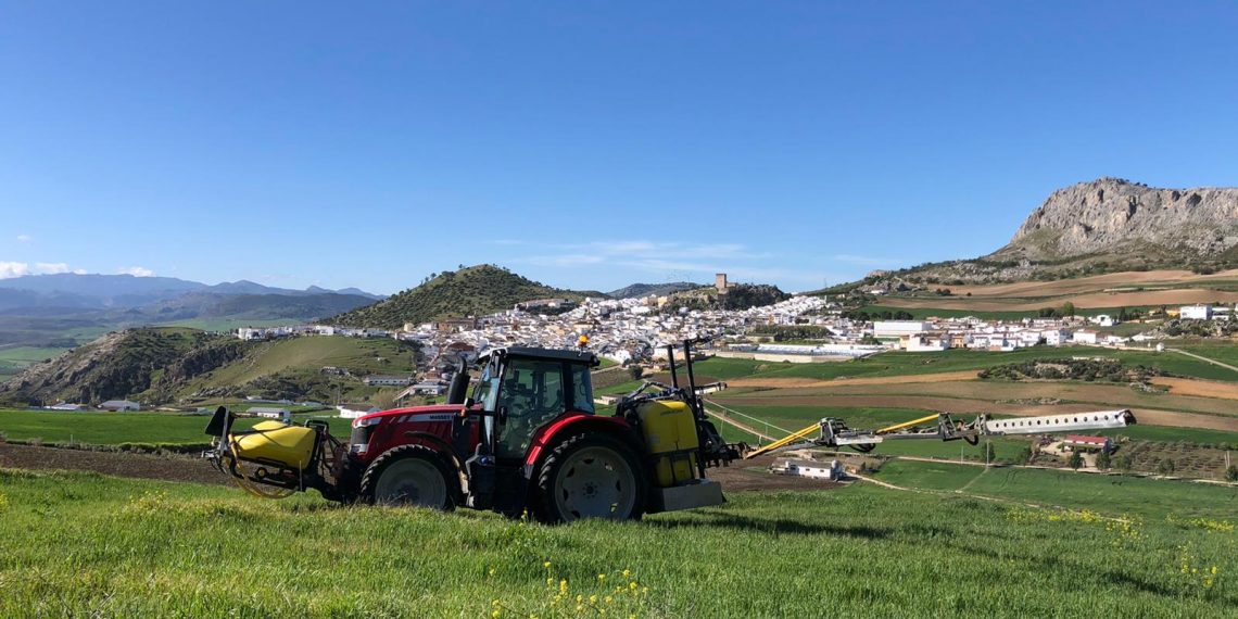 ASAJA Málaga valora positivamente la lluvia de estos días que llega a tiempo de salvar cultivos en floración