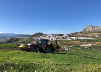 ASAJA Málaga valora positivamente la lluvia de estos días que llega a tiempo de salvar cultivos en floración