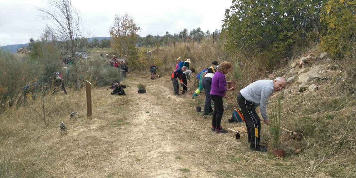 La Diputación recuperará espacios degradados y zonas verdes en Alpandeire, Ardales y Colmenar