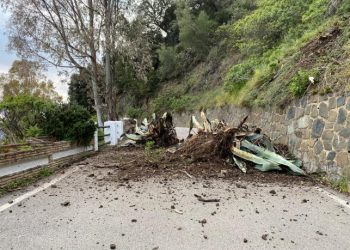 La Diputación restablece la entrada a Genalguacil tras un desprendimiento por las lluvias