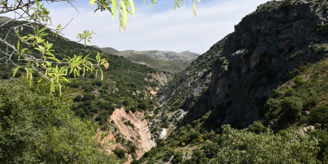 ALPANDEIRE LICITARÁ EL ARREGLO DE SU RED DE ABASTECIMIENTO DE AGUA