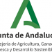 Agricultores y ganaderos andaluces ya han presentado 210.765 Solicitudes Únicas de la PAC 2020