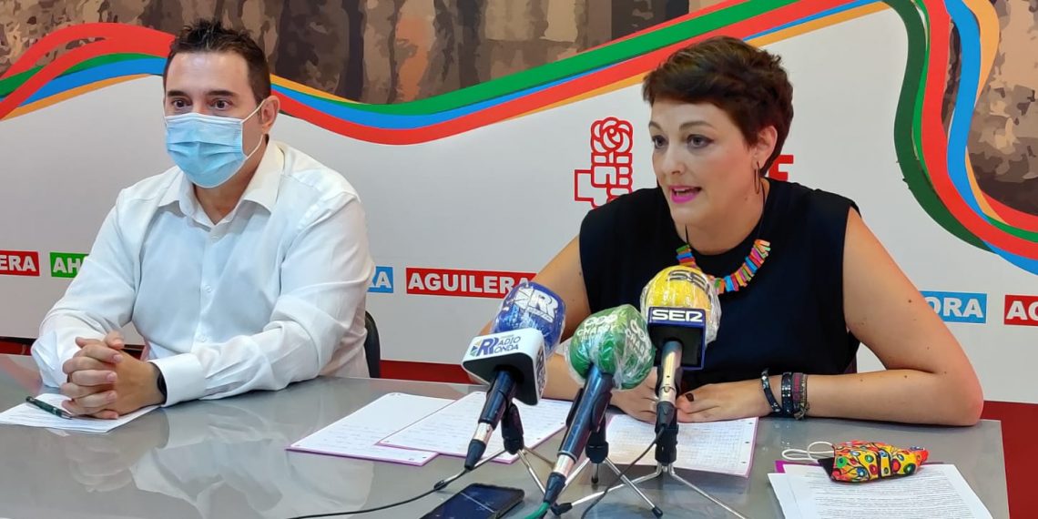 El PSOE pide más apoyo para la Cultura local