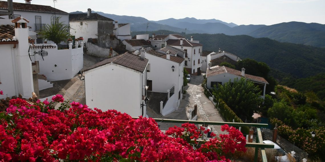 CARTAJIMA FINALIZA LA ELIMINACIÓN DEL 100% DEL CABLEADO AÉREO