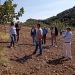 EL AYUNTAMIENTO MUESTRA SU APOYO AL EMERGENTE SECTOR DEL CULTIVO DEL PISTACHO EN LA COMARCA DE RONDA
