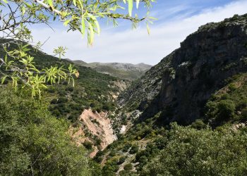 ALPANDEIRE LICITA LA REPARACIÓN DE SU RED DE DISTRIBUCIÓN DE AGUA