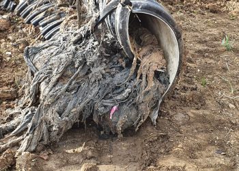 EL AYUNTAMIENTO SOLUCIONA LOS PROBLEMAS DEL COLECTOR SUR EN LA ZONA DE LA CRUZ DE SAN JORGE