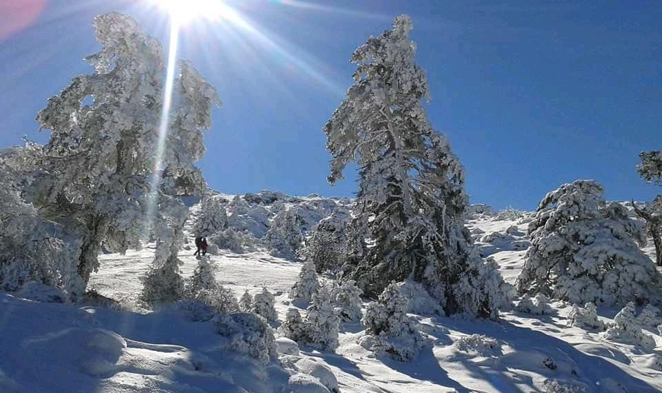 La Junta insta al Estado a “no levantar el pie del acelerador” con la Sierra de las Nieves