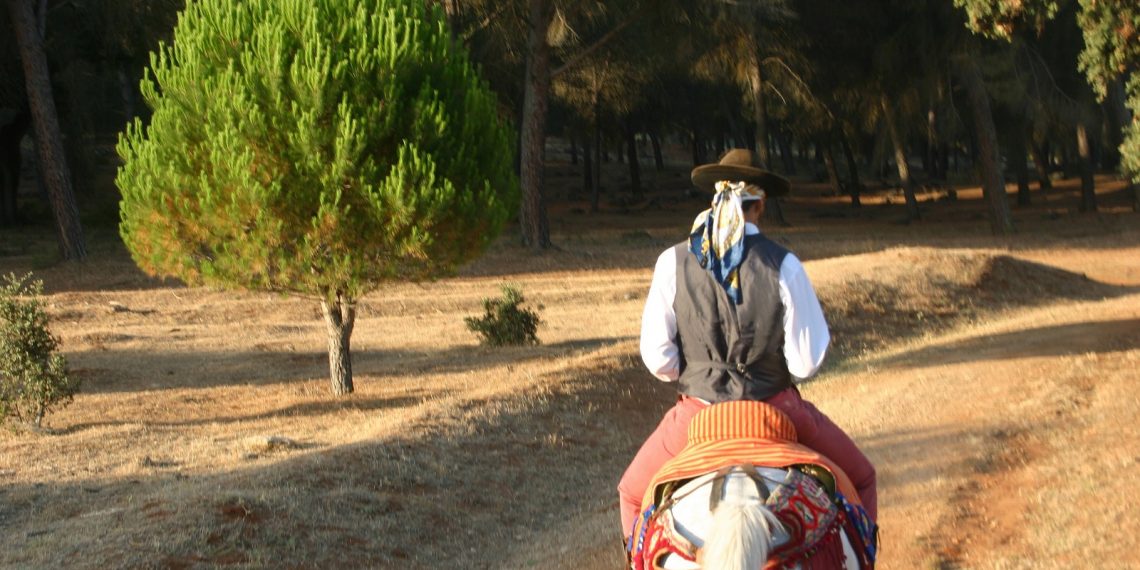 El pleno del Ayuntamiento de Ronda aprueba por unanimidad su adhesión a la ‘Ruta de los Viajeros Románticos’