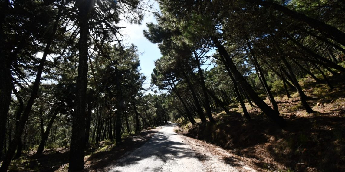 PUJERRA FINALIZARÁ LA ADECUACIÓN DEL CAMINO DE LAS ALLANADILLAS