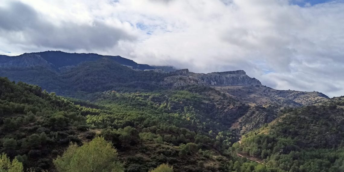 El Consejo de Ministros da luz verde a la declaración de la Sierra de las Nieves como parque nacional