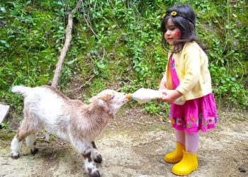 BENALAURÍA ORGANIZA UN CARNAVAL VIRTUAL