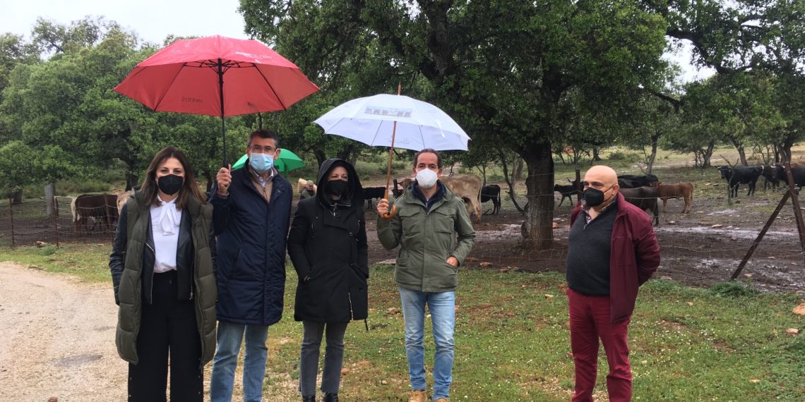 La delegada del Gobierno valora las ayudas al toro bravo como una inversión en empleo y riqueza