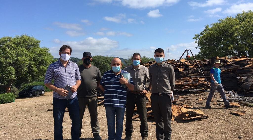El Ayuntamiento de Ronda inicia los trabajos de saca del corcho en los Montes de Propios