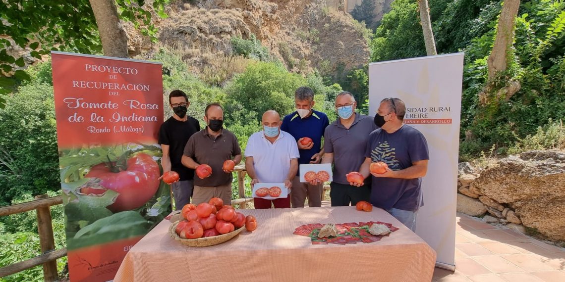 Presentado el proyecto para recuperar el Tomate Rosa de La Indiana