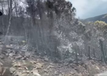 El entorno de Sierra Bermeja afectado por el fuego es declarado zona catastrófica