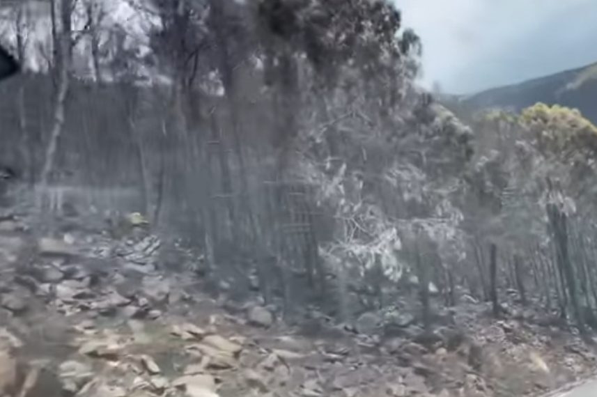 El entorno de Sierra Bermeja afectado por el fuego es declarado zona catastrófica