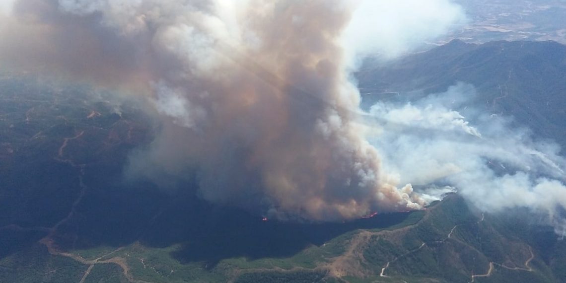 Imagen aérea del fuego de Sierra Bermeja FOTO PLAN INFOCA