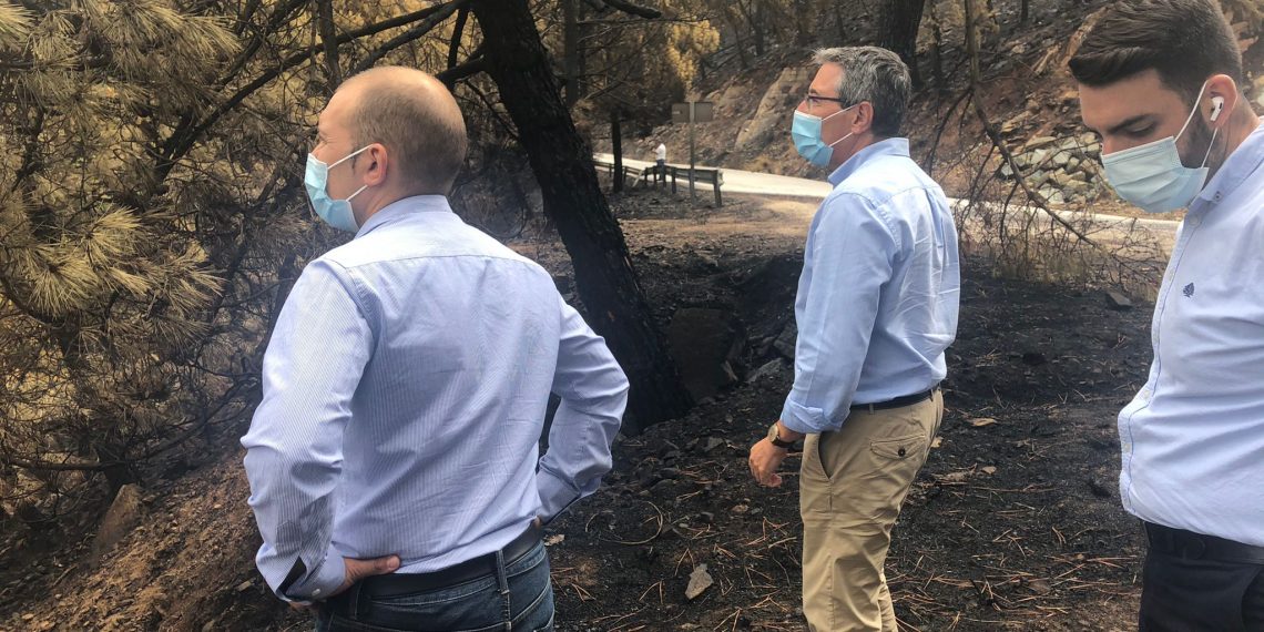 Salado visita las zonas más afectadas por el incendio y anuncia que los técnicos de Medio Ambiente y Carreteras ya valoran los daños