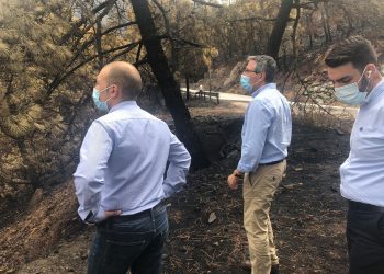Salado visita las zonas más afectadas por el incendio y anuncia que los técnicos de Medio Ambiente y Carreteras ya valoran los daños