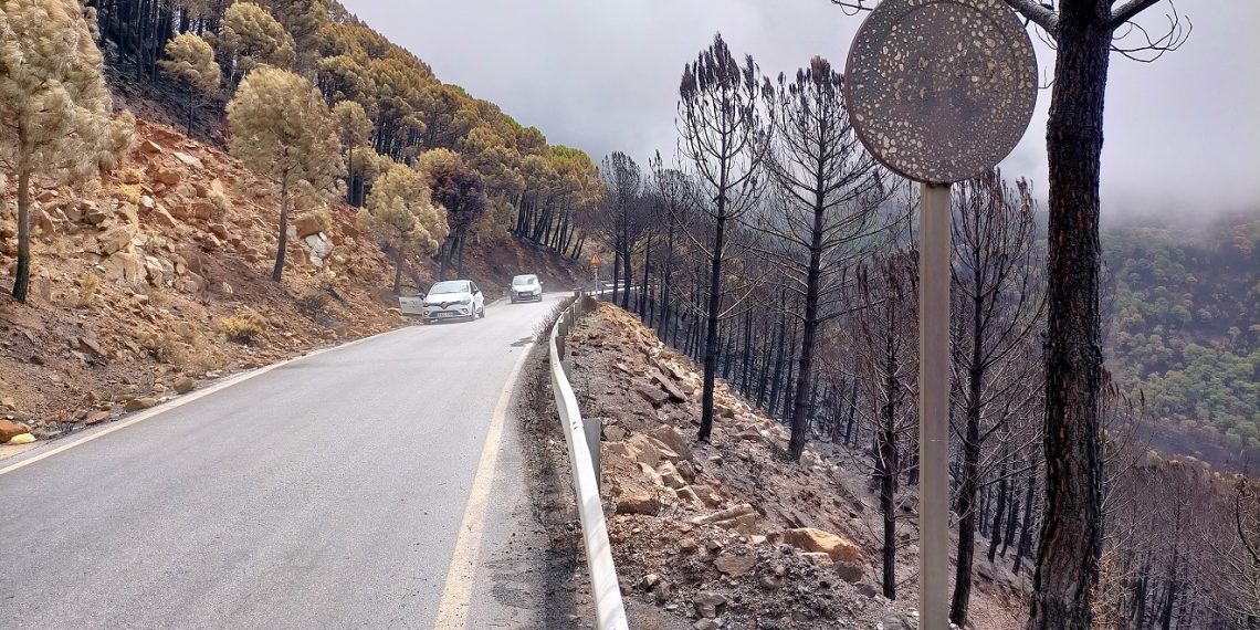 La Diputación pone en marcha el arreglo de las carreteras provinciales afectadas por el incendio de Sierra Bermeja
