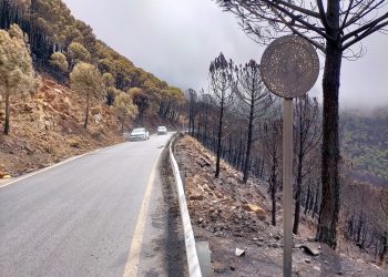 La Diputación pone en marcha el arreglo de las carreteras provinciales afectadas por el incendio de Sierra Bermeja
