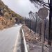 La Diputación pone en marcha el arreglo de las carreteras provinciales afectadas por el incendio de Sierra Bermeja