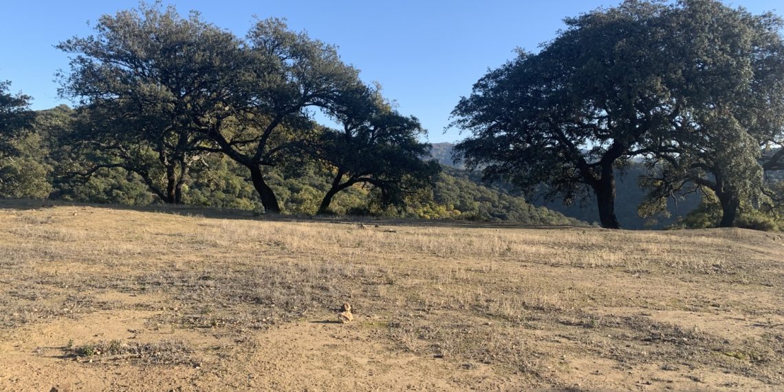 La Diputación impulsa en la zona norte del Valle del Genal la construcción de una balsa contra incendios y una plataforma de helipuerto