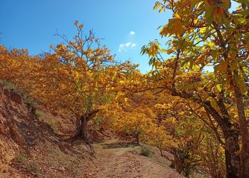 La Diputación destaca el impacto de la campaña de promoción del Valle del Genal