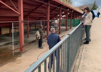 El Ayuntamiento invierte más de 200.000 euros en mejorar las instalaciones deportivas de El Fuerte