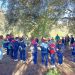 Alumnos de Primaria del colegio Fernando de los Ríos participan en la limpieza y repoblación del parque periurbano de Ronda