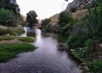 ACUAES autoriza la adjudicación del contrato para el control de las obras de saneamiento y depuración de la cuenca alta del río Guadiaro