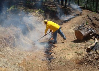 Ronda promueve unas jornadas de prevención de incendios específicas para el sector turístico