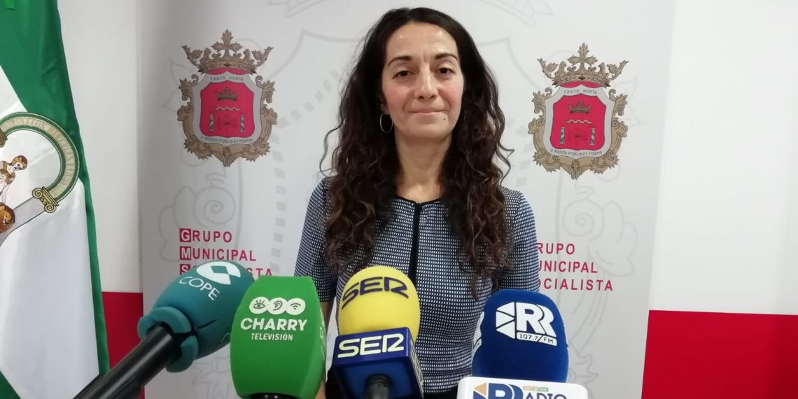 El Grupo Municipal Socialista anuncia que ha presentado doce alegaciones al PECH