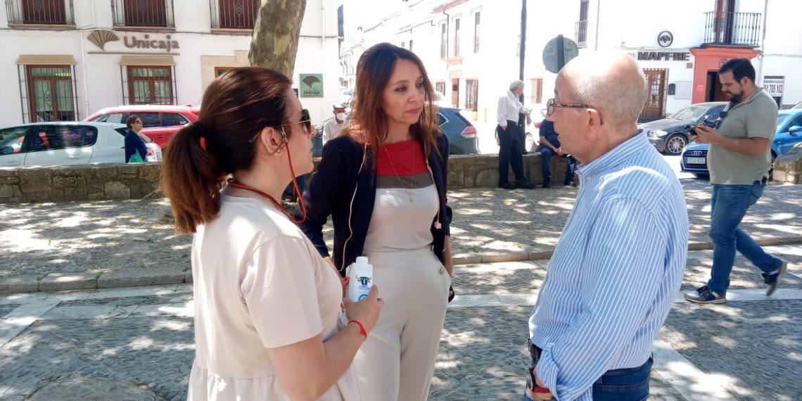 El Ayuntamiento estudiará todos los árboles del Ruedo Alameda tras la caída de una rama este domingo