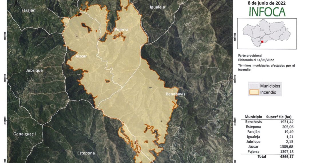 El PSOE solicita a la Diputación un plan especial de empleo para los municipios afectados por el incendio de Sierra Bermeja