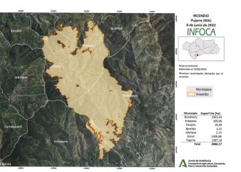 El PSOE solicita a la Diputación un plan especial de empleo para los municipios afectados por el incendio de Sierra Bermeja