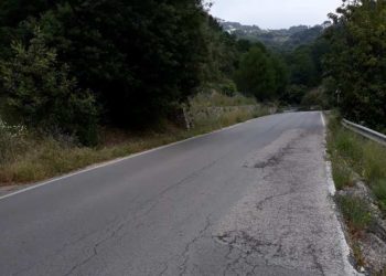 La Diputación adjudica por 3,9 millones de euros la mejora del asfalto y eliminación de baches en 20 carreteras