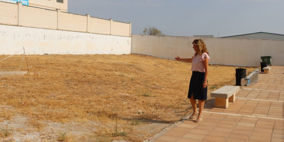 El Ayuntamiento invertirá 150.000 euros en el Cementerio de San Lorenzo para un nuevo espacio de nichos y tareas de mantenimiento