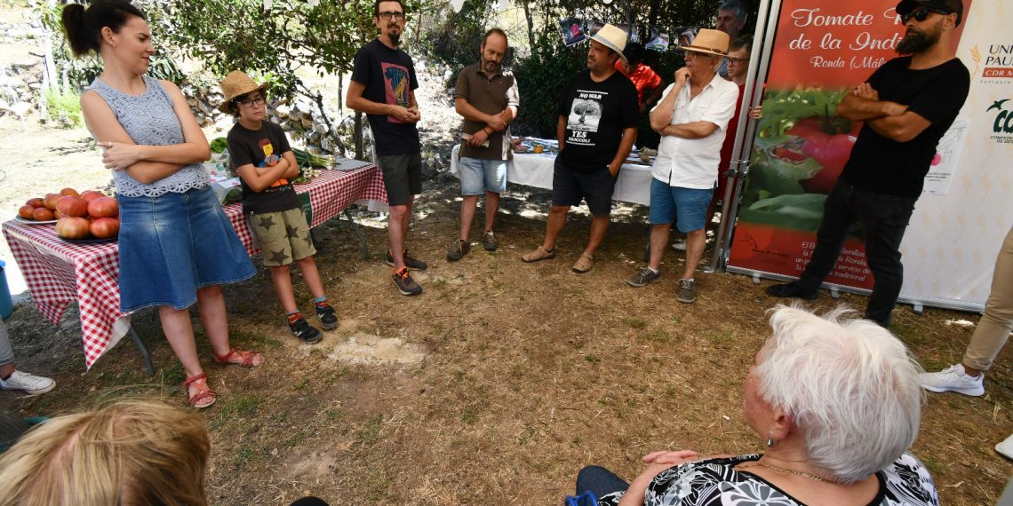 Se presenta en Benalauría el proyecto de recuperación del Tomate Rosa de La Indiana de Ronda