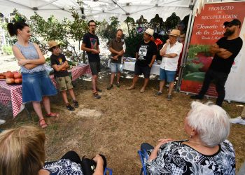 Se presenta en Benalauría el proyecto de recuperación del Tomate Rosa de La Indiana de Ronda